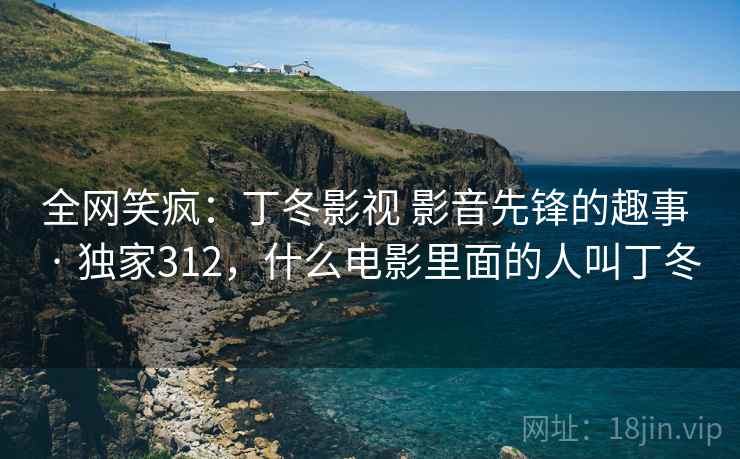 全网笑疯：丁冬影视 影音先锋的趣事 · 独家312，什么电影里面的人叫丁冬