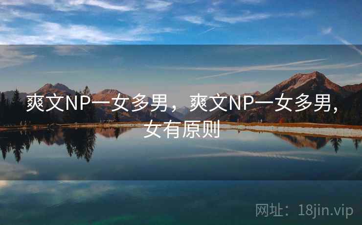 爽文NP一女多男，爽文NP一女多男,女有原则