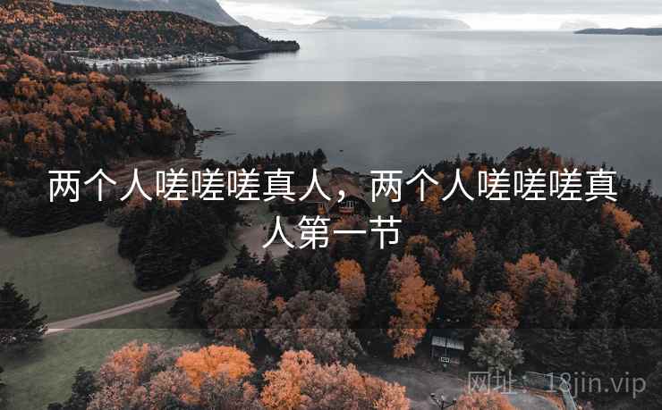两个人嗟嗟嗟真人，两个人嗟嗟嗟真人第一节