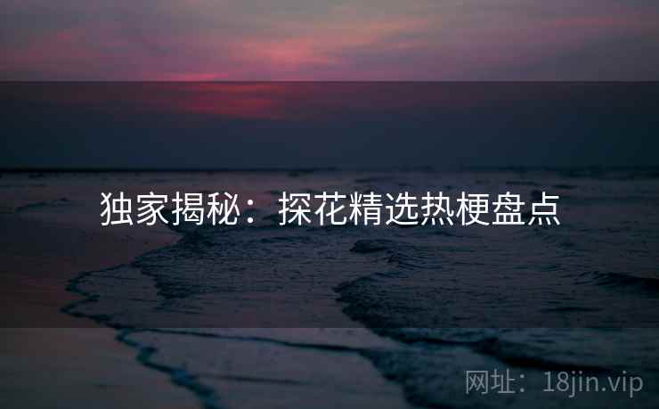 独家揭秘：探花精选热梗盘点